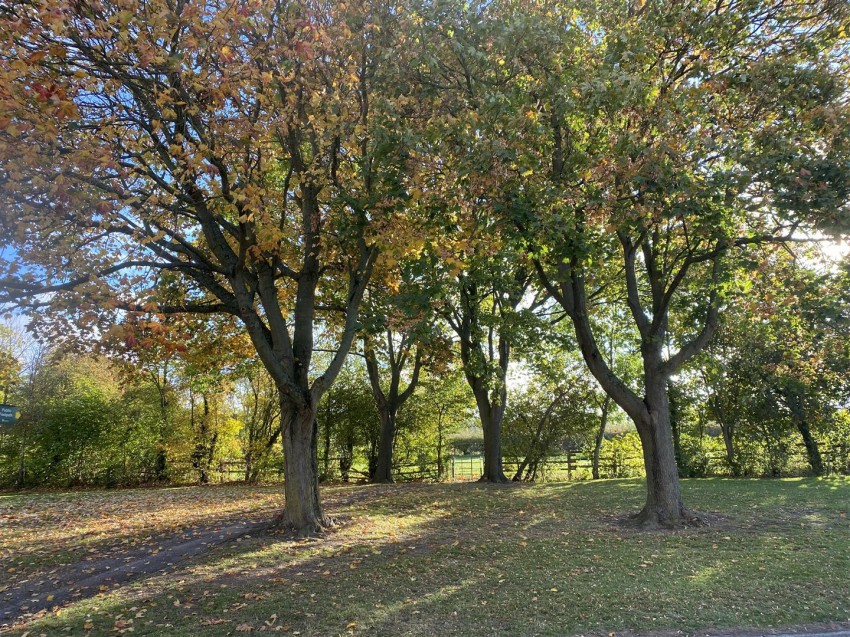 Images for Brierfield Road, Cosby, Leicester